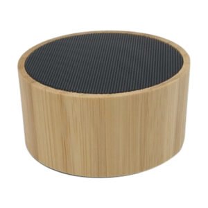 a-10-eco-friendly-bluetooth-speaker