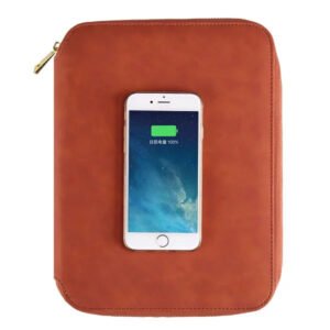 AO 16 EXECUTIVE PORTFOLIO